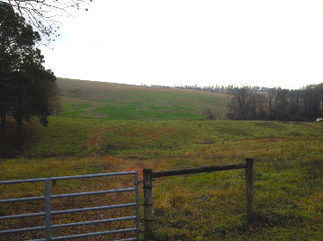 Operational Cattle Farm in Georgia